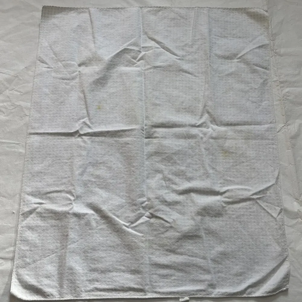 vintage carters hospital receiving Blankets Stars Blue Checkered READ STAINS - Picture 5 of 12
